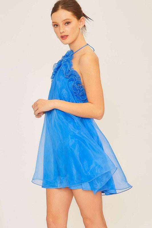 Tie Neck Ruffle Organza Mini Dress