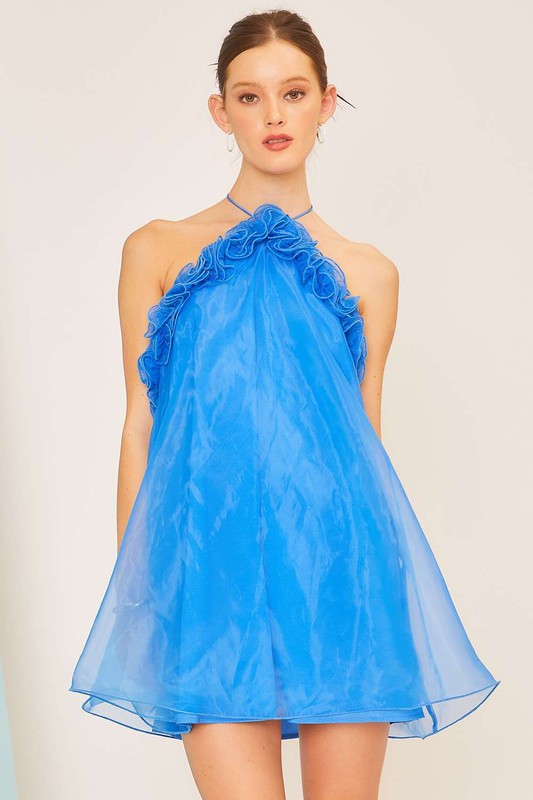 Tie Neck Ruffle Organza Mini Dress