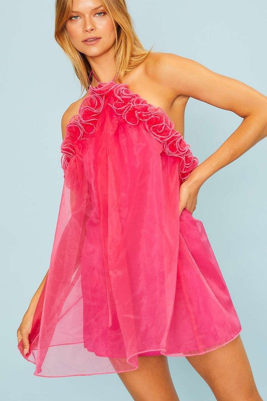 Tie Neck Ruffle Organza Mini Dress